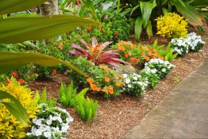 Sustainable Landscaping Ideas for St. Petersburg Condo Associations