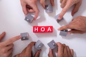 Questions to Ask Before Hiring an HOA Management Company in St. Petersburg